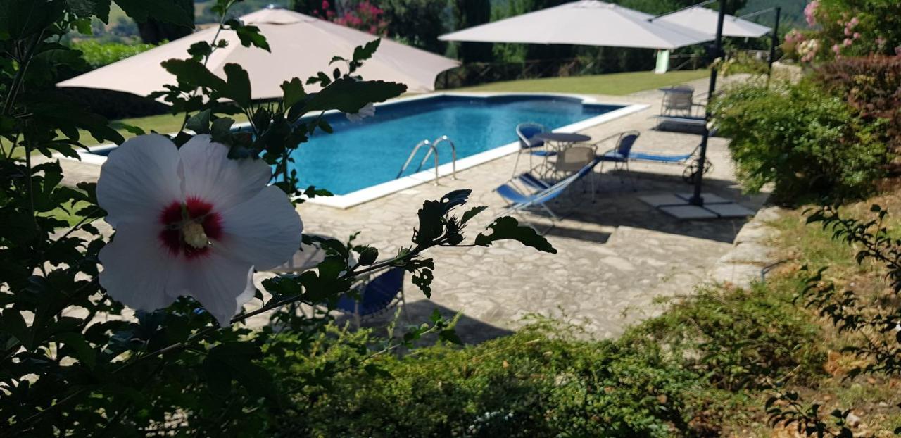 Case In Campagna Con Piscina A טודי מראה חיצוני תמונה